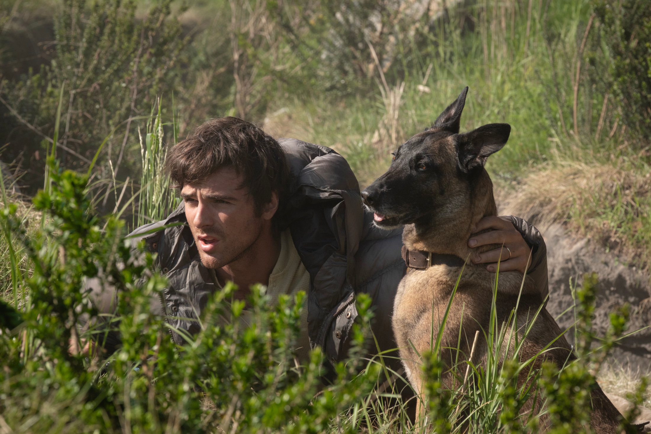 Still 3